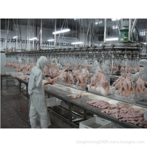 Chicken Duck Goose Slaughtering Slaughterhouse